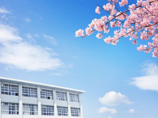 桜の木と学校の校舎の画像
