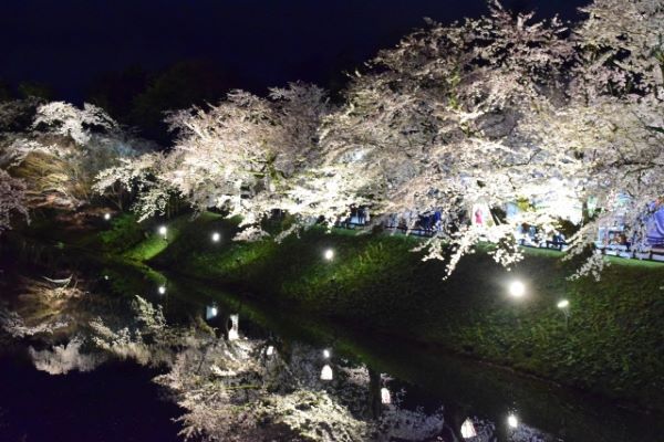 弘前夜桜ライトアップの画像